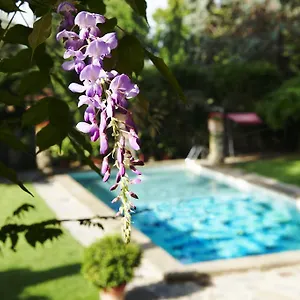 Park Palace **** Florens